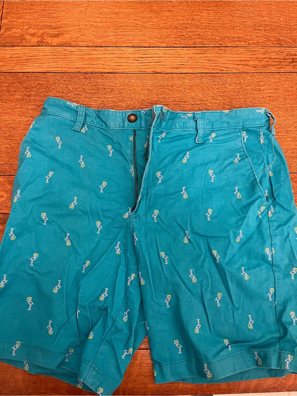 George Teal Men's Flat-Front Shorts with Tropical Embroidery